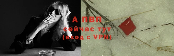стаф Беслан